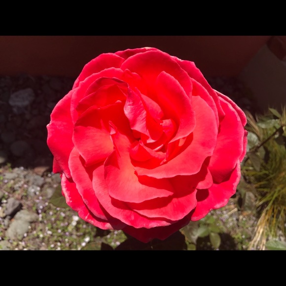 Loving Poshmark - Picture 1 of 6